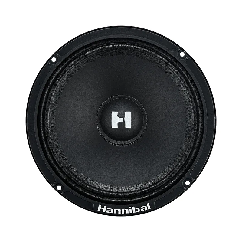 HANNIBAL HM-6E thumbnail 3